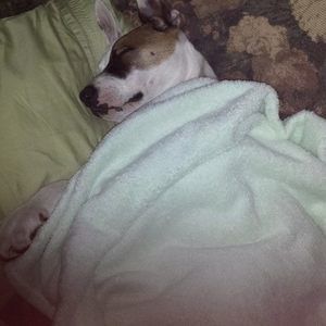 Meet your Posher, Tina